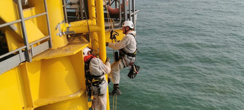 Inspect Repair Maintain