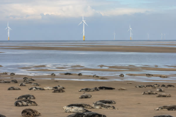 National Beach Day Great Yarmouth